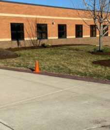 Landscaping for Schools